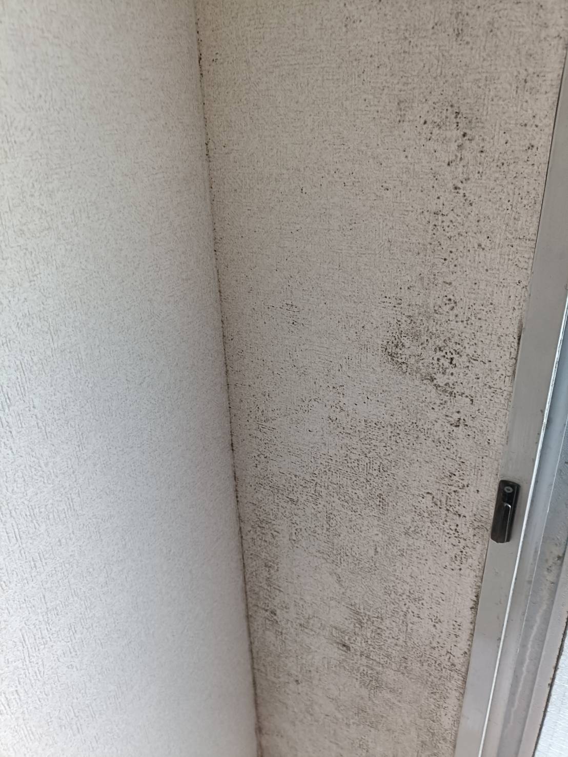 黒ずみや黒い斑点が広がった洗浄前の壁紙
